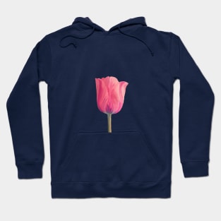 The Royal Tulip Hoodie